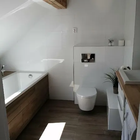 شقة Cat Apartament Zagloby