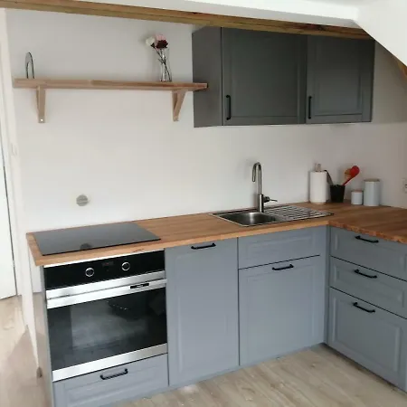 Cat Apartament Zagloby * شتشيتسين