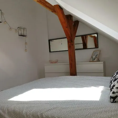 Cat Apartament Zagloby Apartment Szczecin