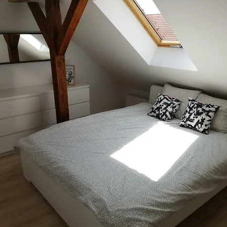 Cat Apartament Zagloby